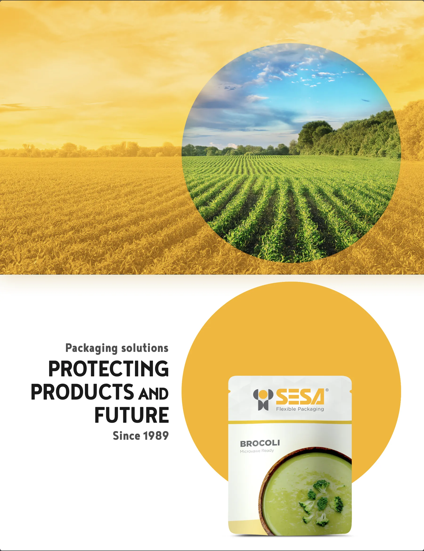 SESA Packaging — 4