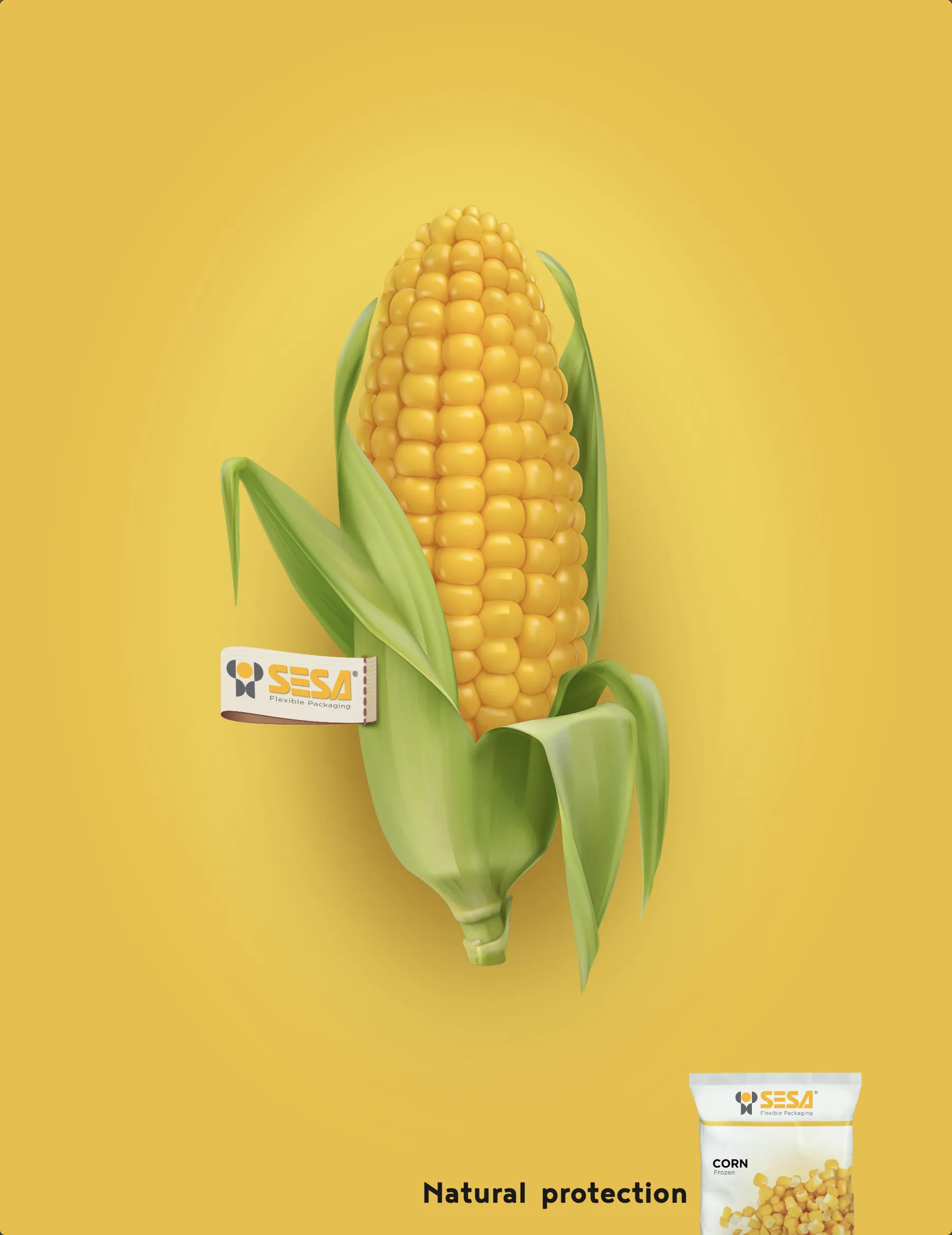SESA Packaging — 5